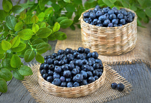 Health benefits of Wild Blueberries